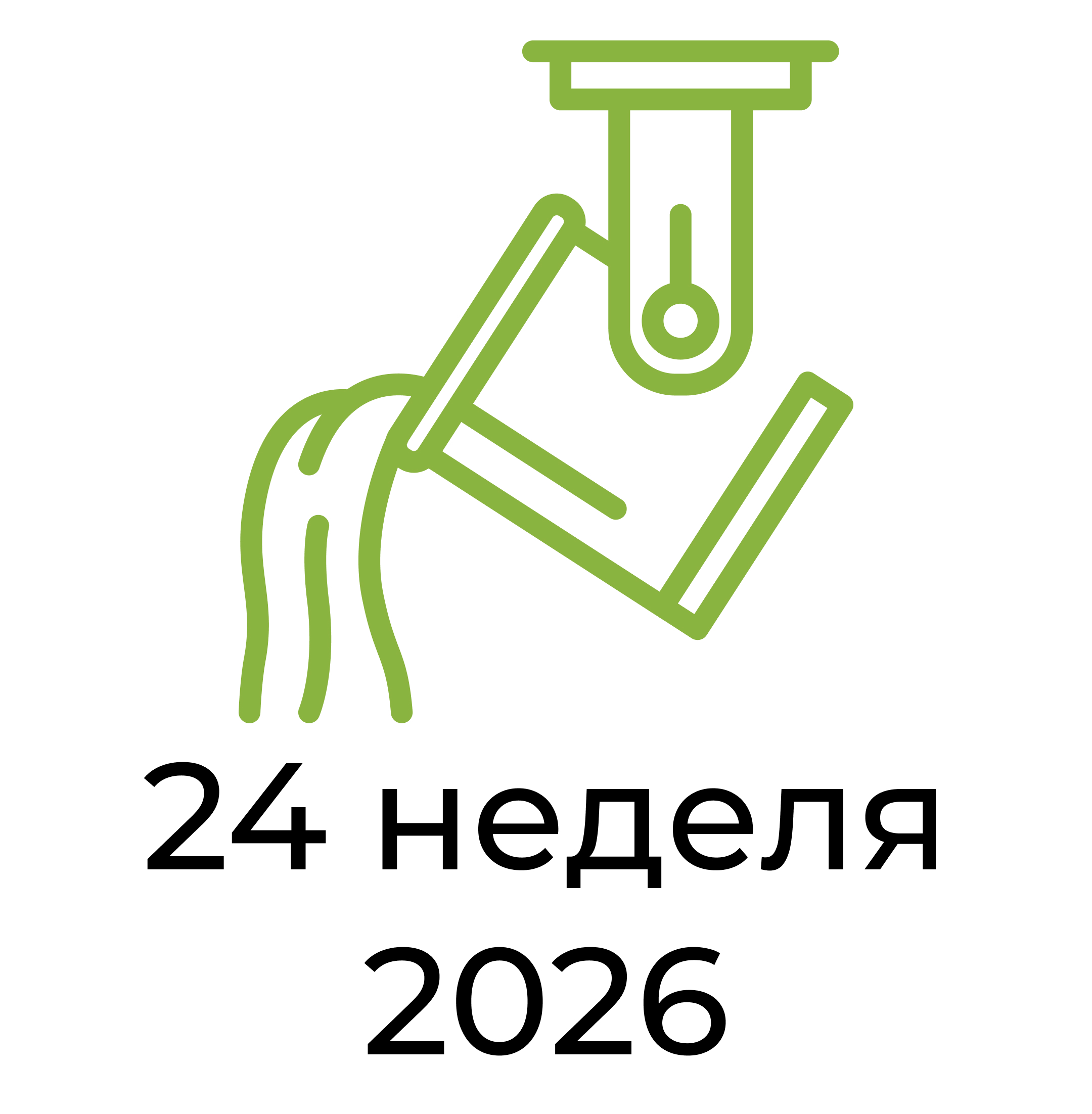 Отчёт за 24 неделю 2026 года