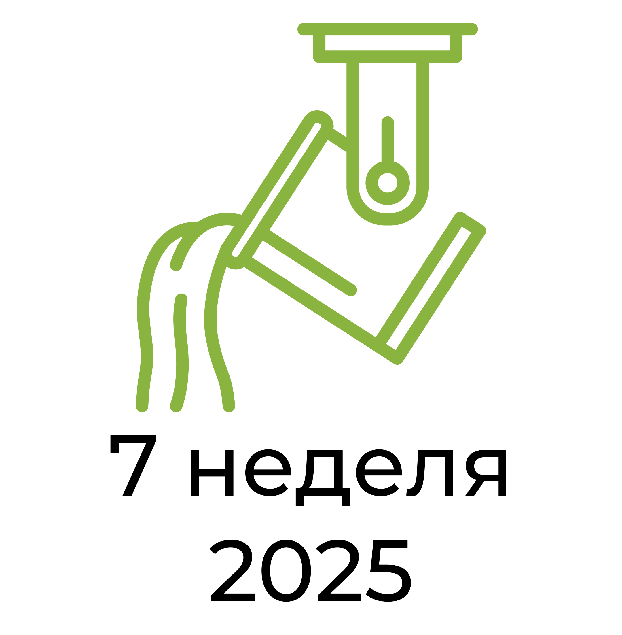 Отчёт за 7 неделю 2025 года