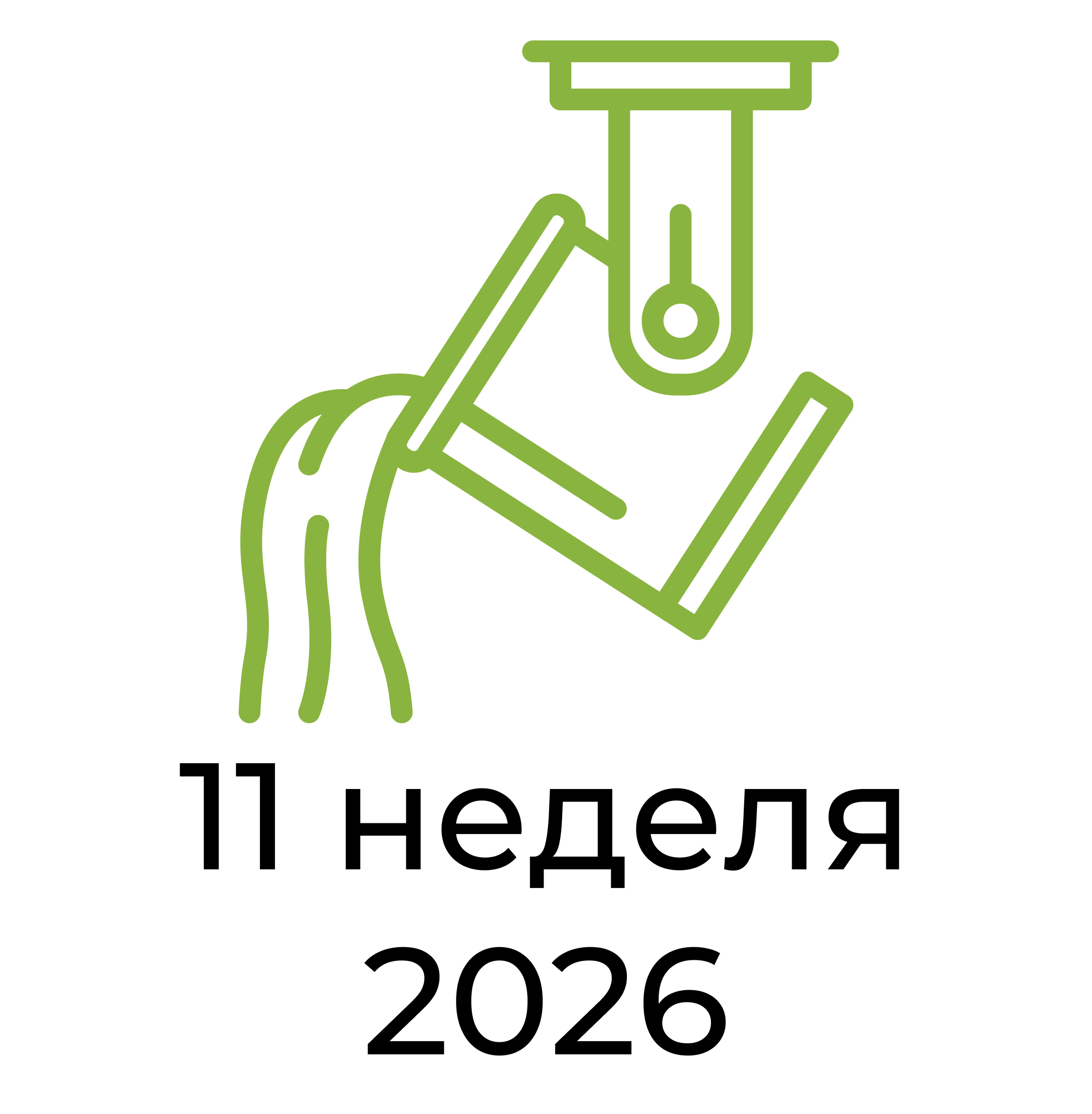Отчёт за 11 неделю 2026 года