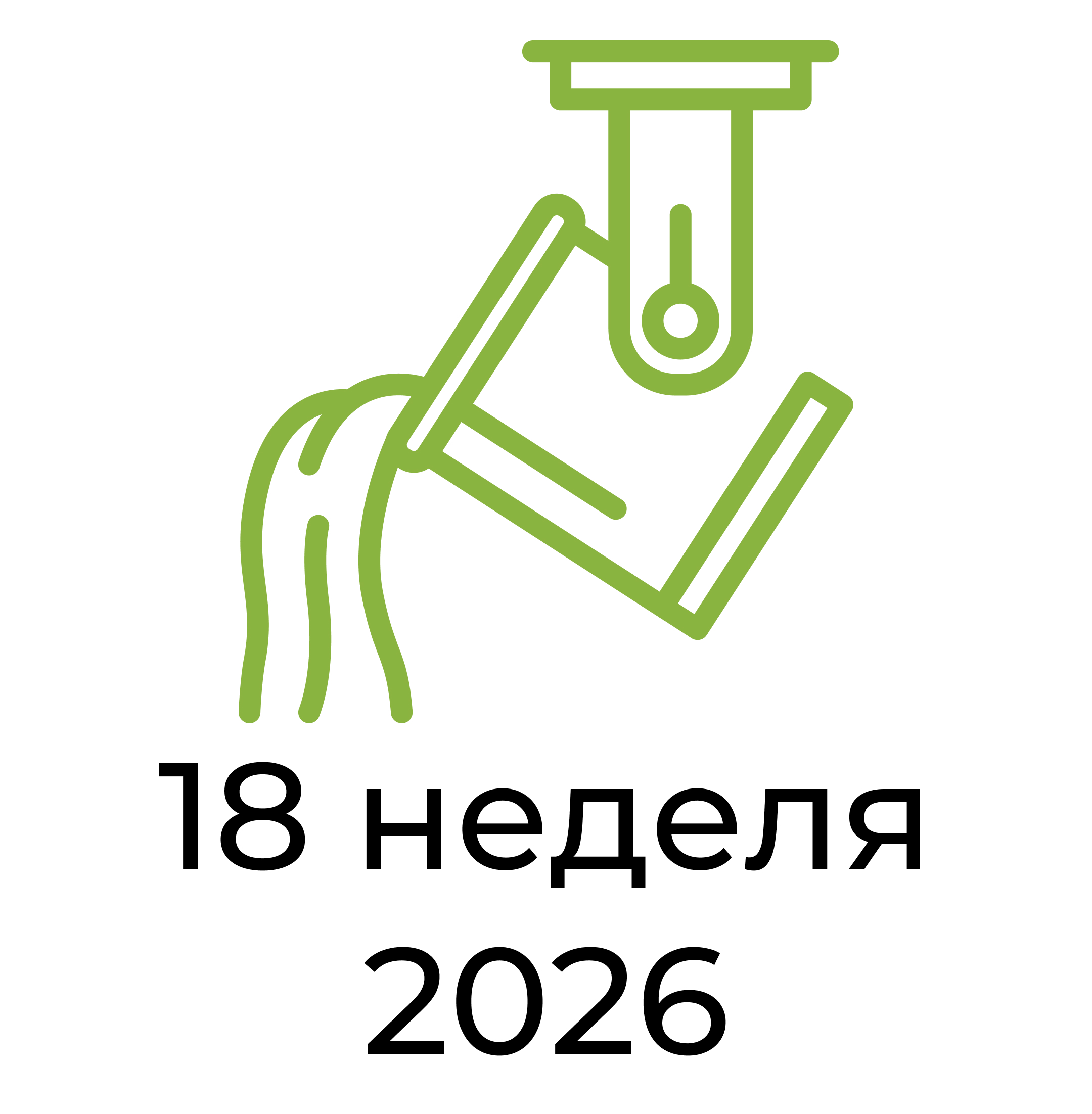 Отчёт за 18 неделю 2026 года