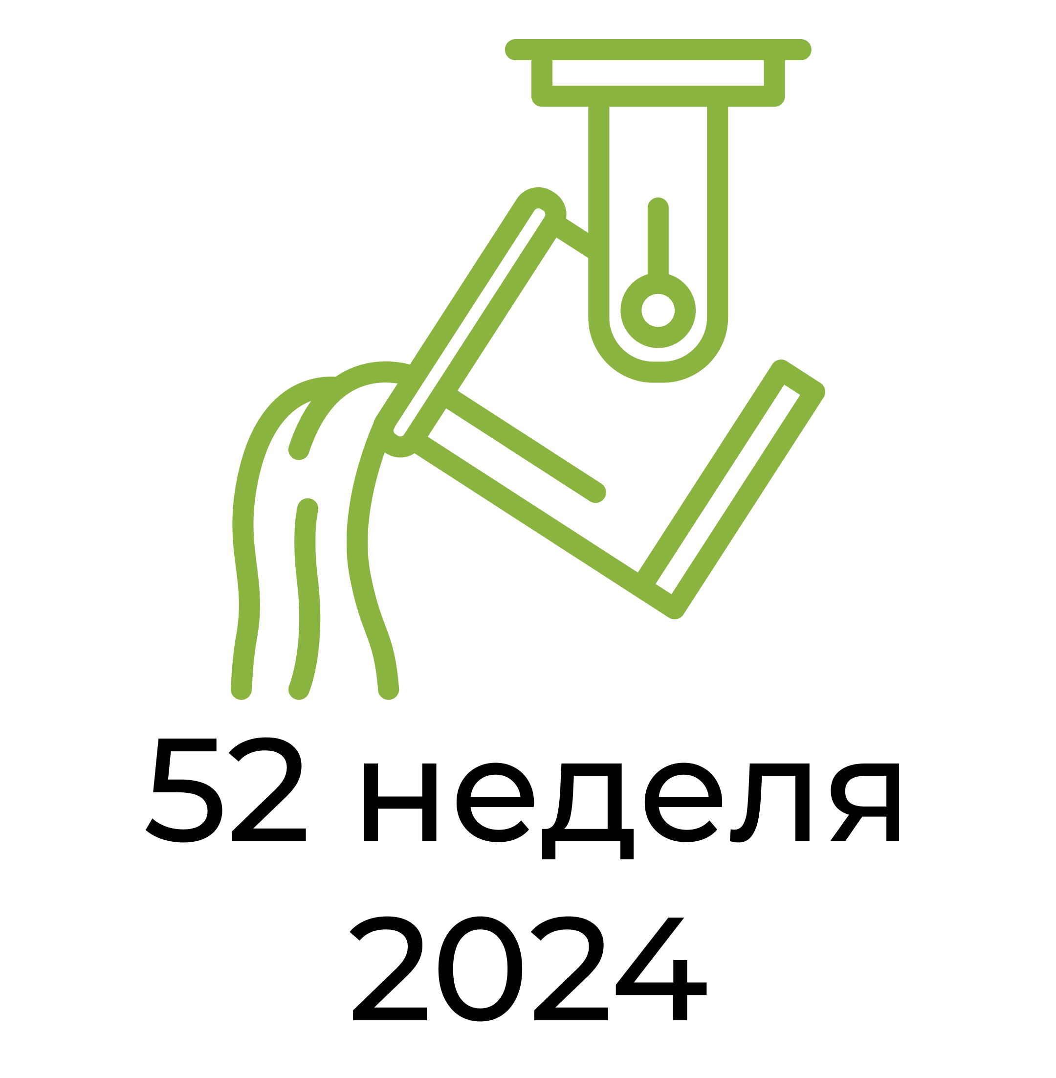 Отчёт за 52 неделю 2024 года