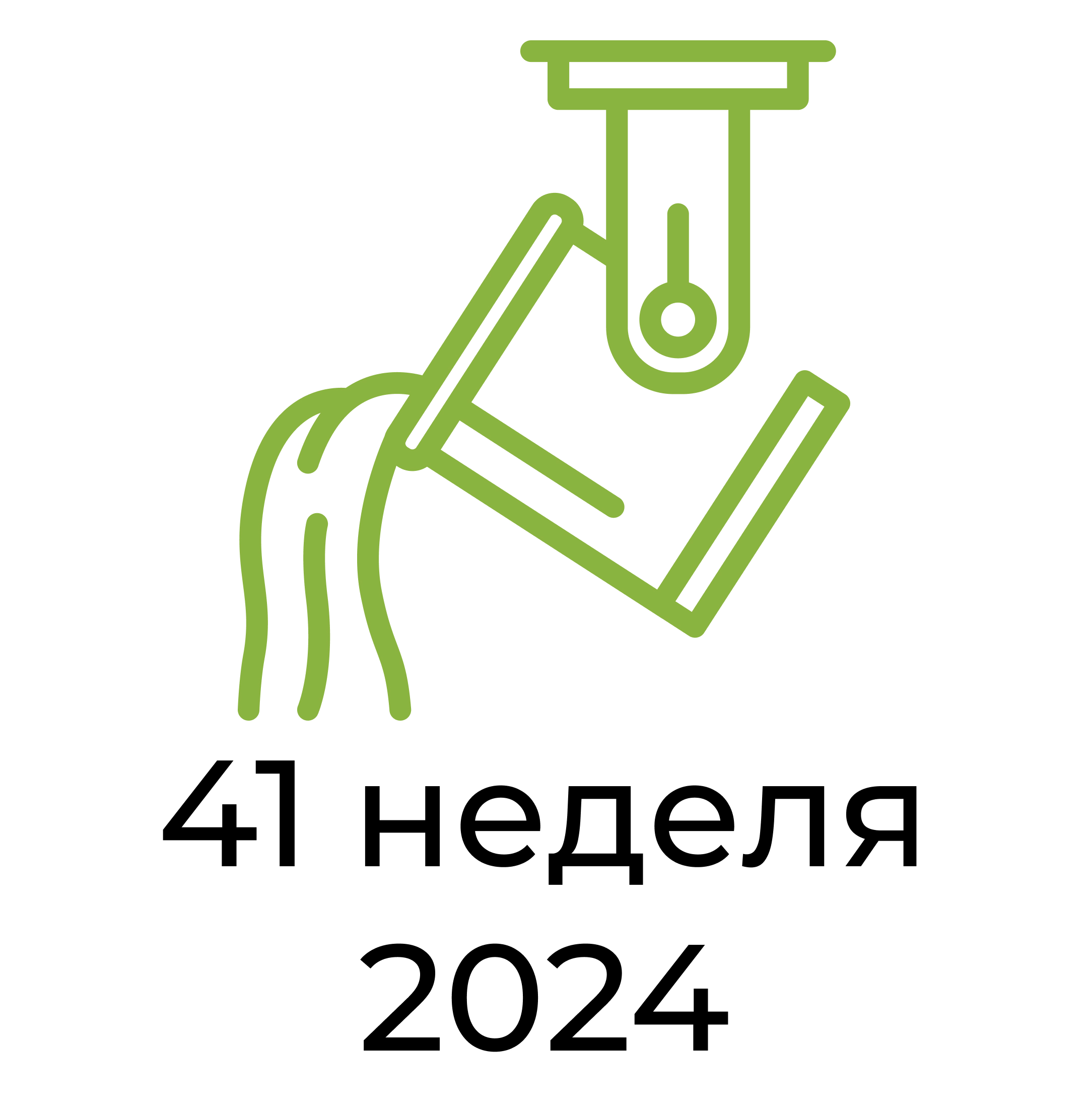 Отчёт за 41 неделю 2024 года