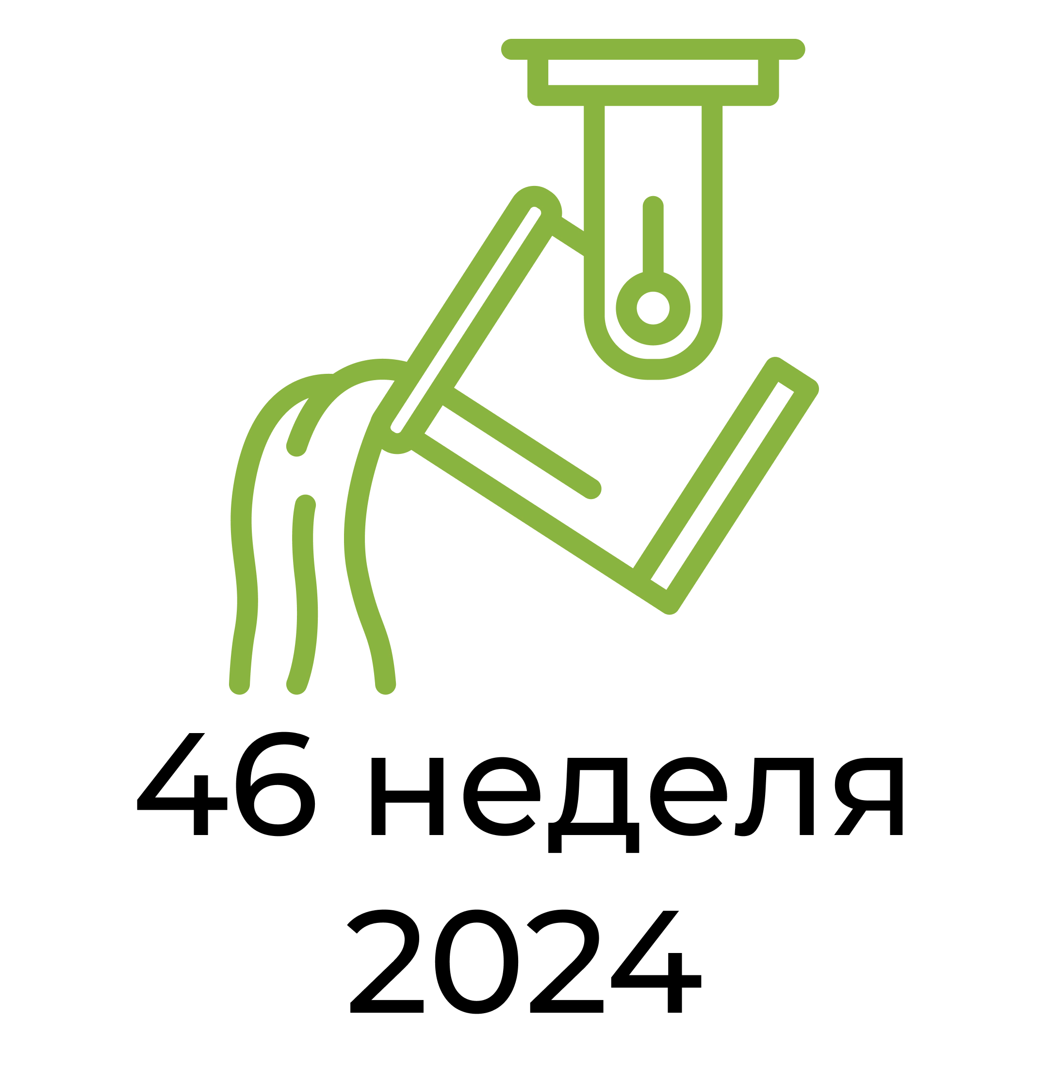 Отчёт за 46 неделю 2024 года