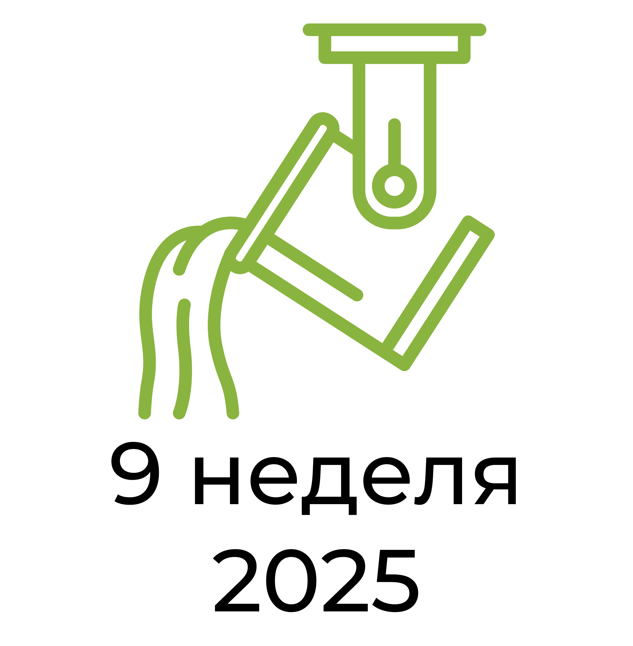 Отчёт за 9 неделю 2025 года