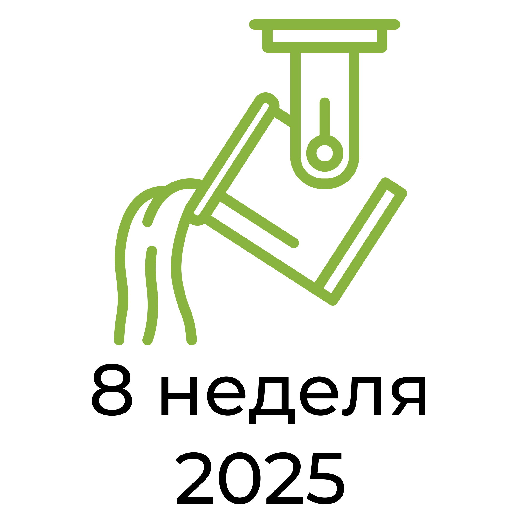 Отчёт за 8 неделю 2025 года