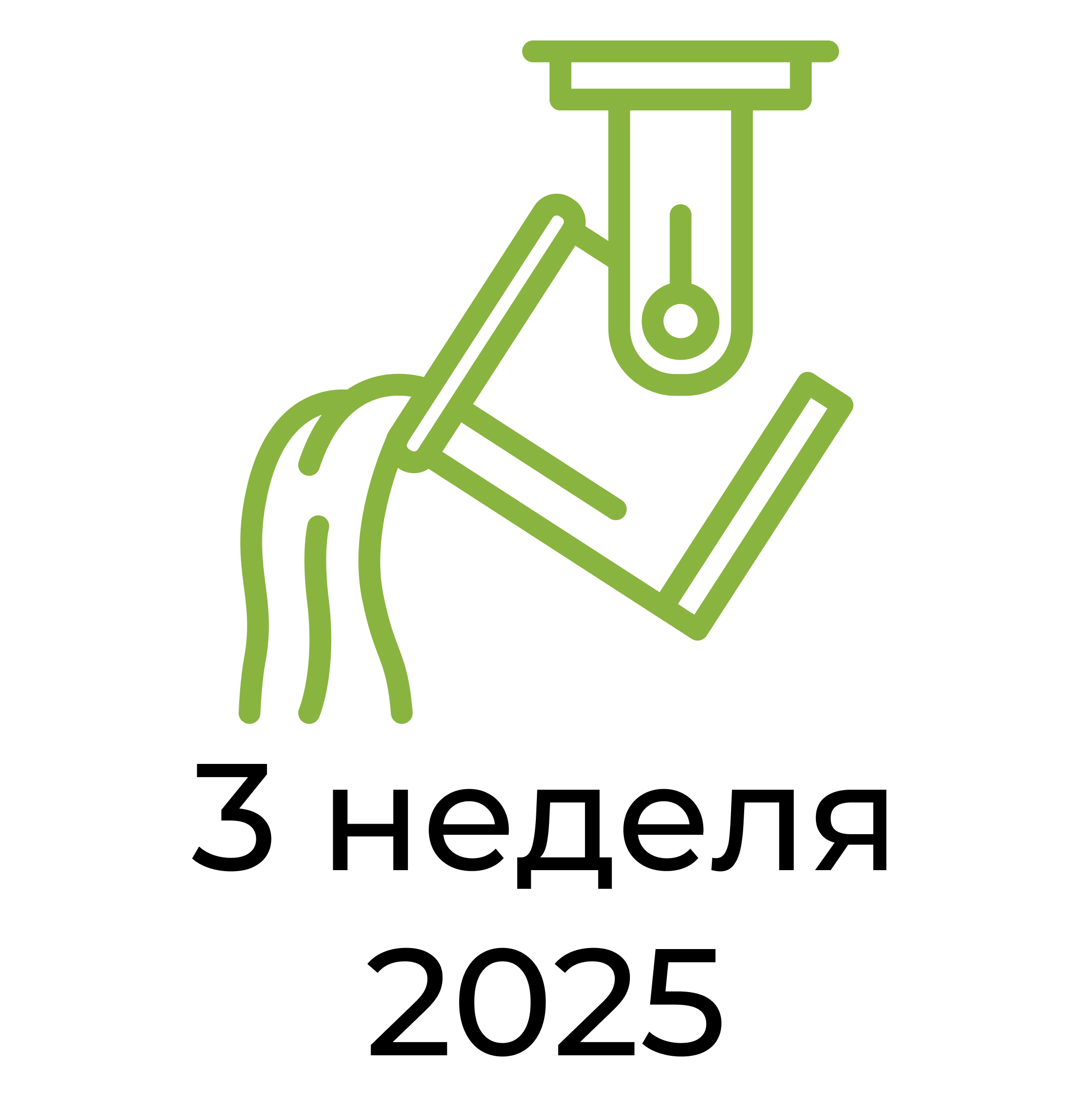 Отчёт за 3 неделю 2025 года