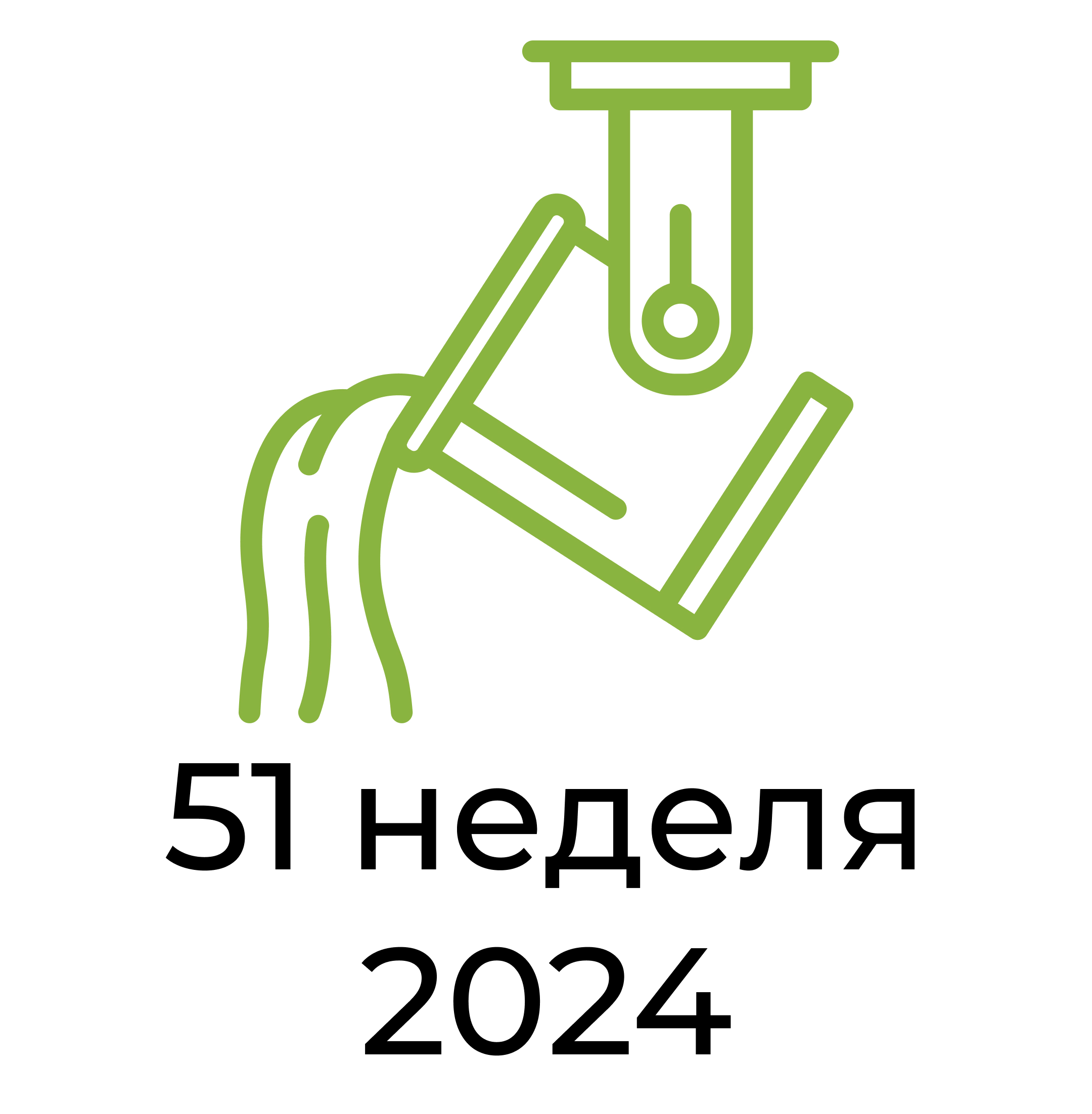 Отчёт за 51 неделю 2024 года