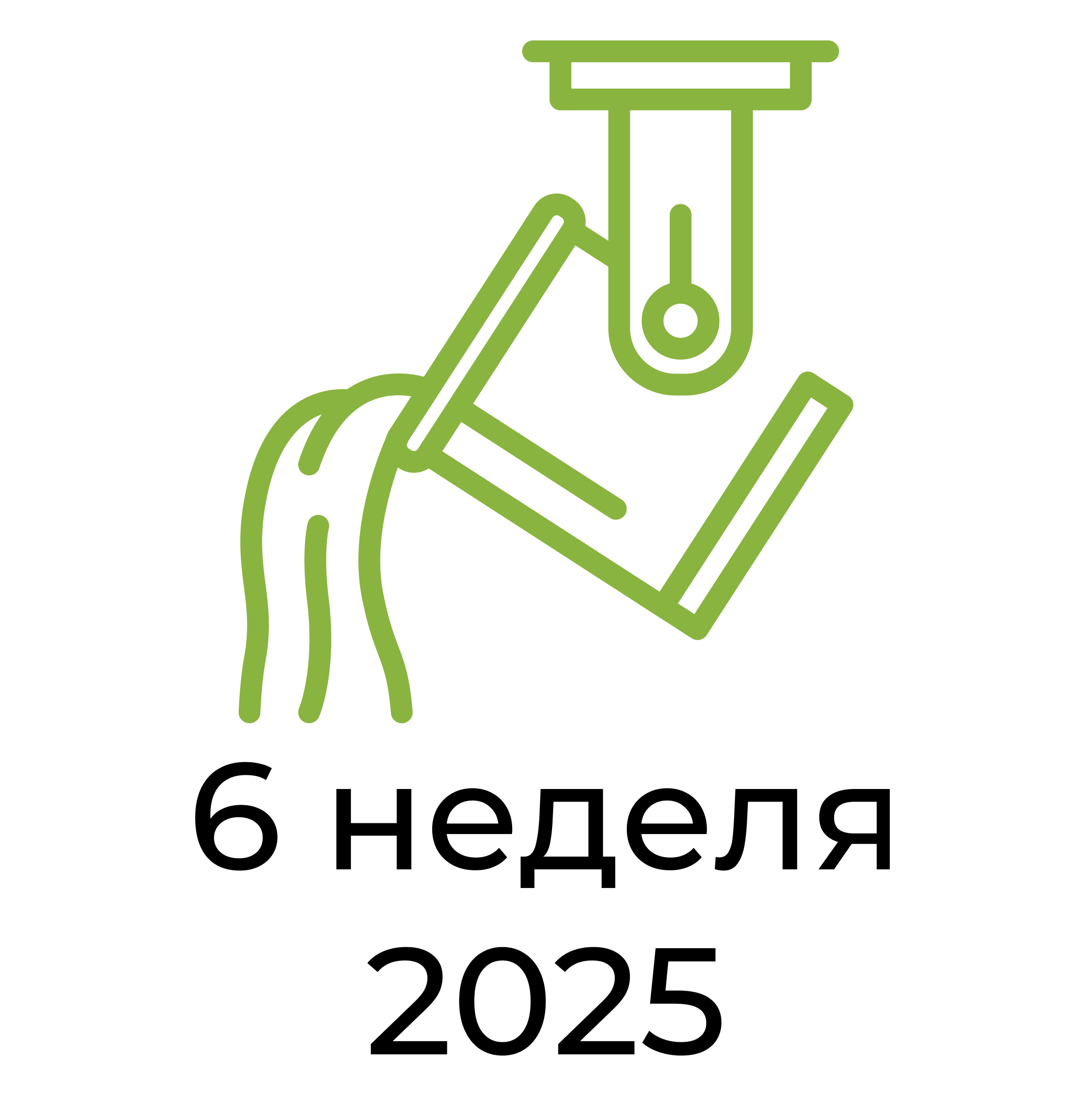 Отчёт за 6 неделю 2025 года