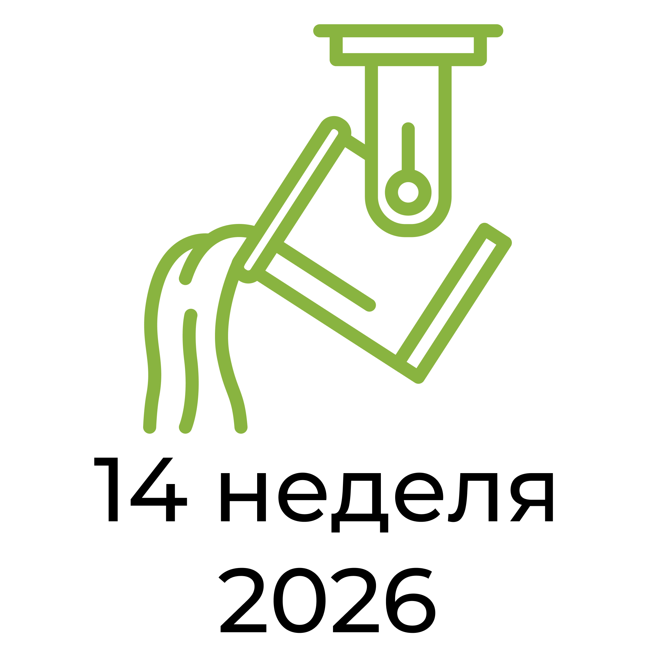 Отчёт за 14 неделю 2026 года