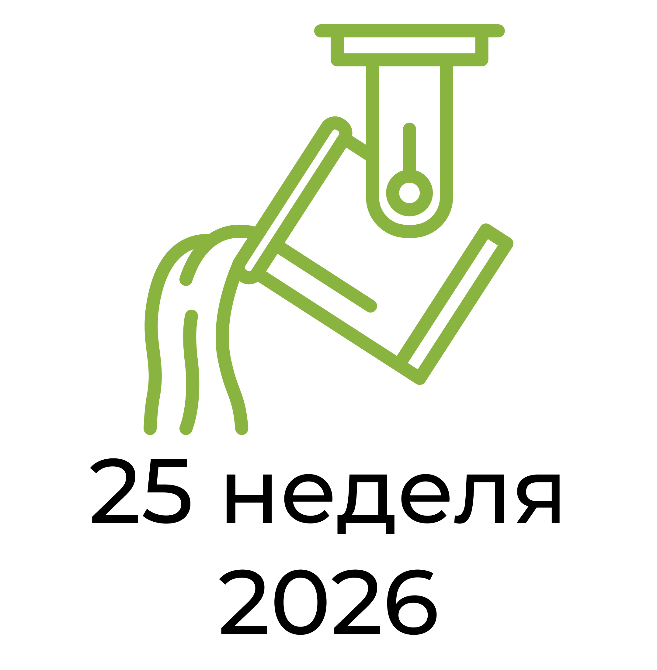 Отчёт за 25 неделю 2026 года