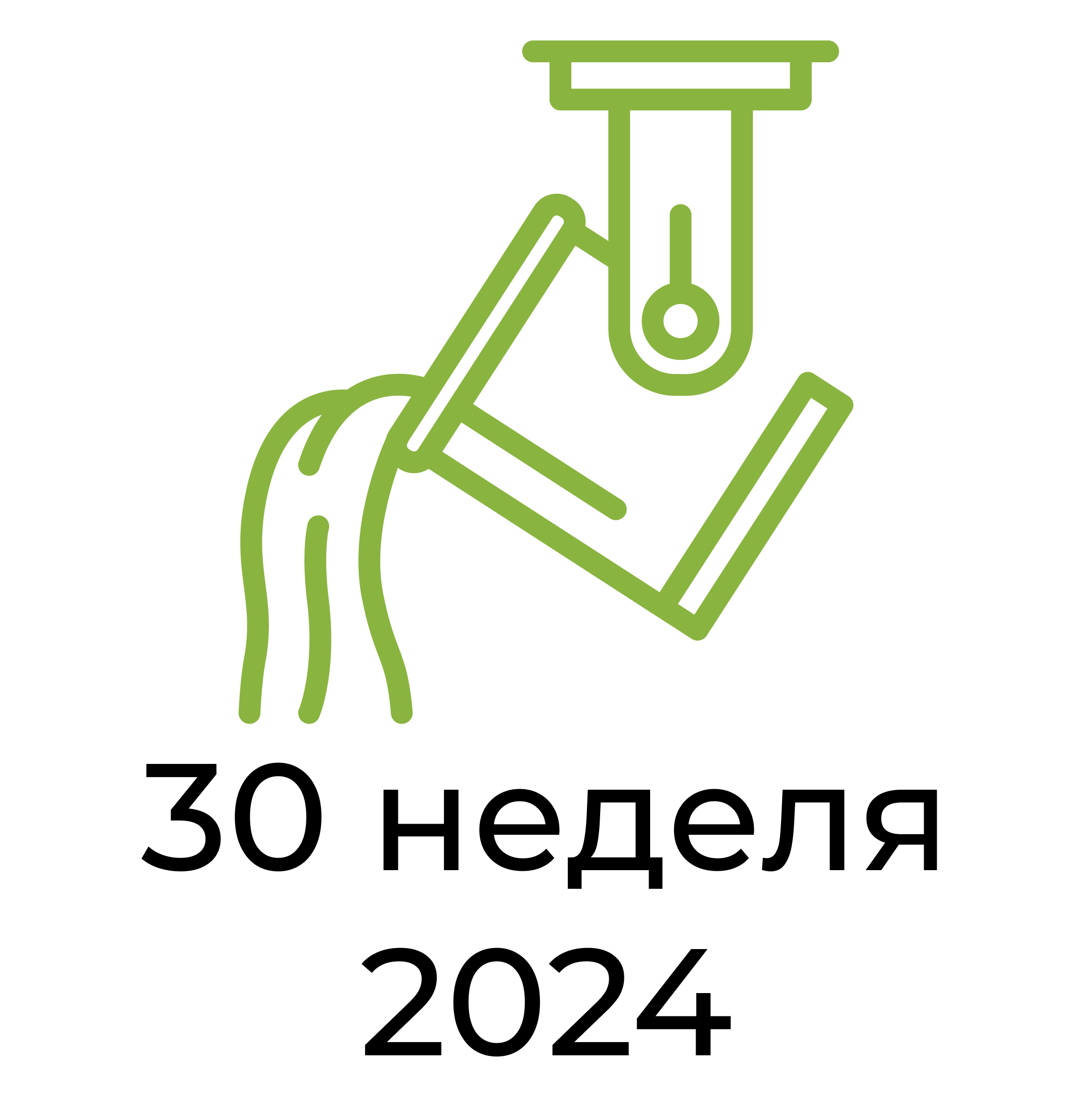 Отчёт за 30 неделю 2024 года