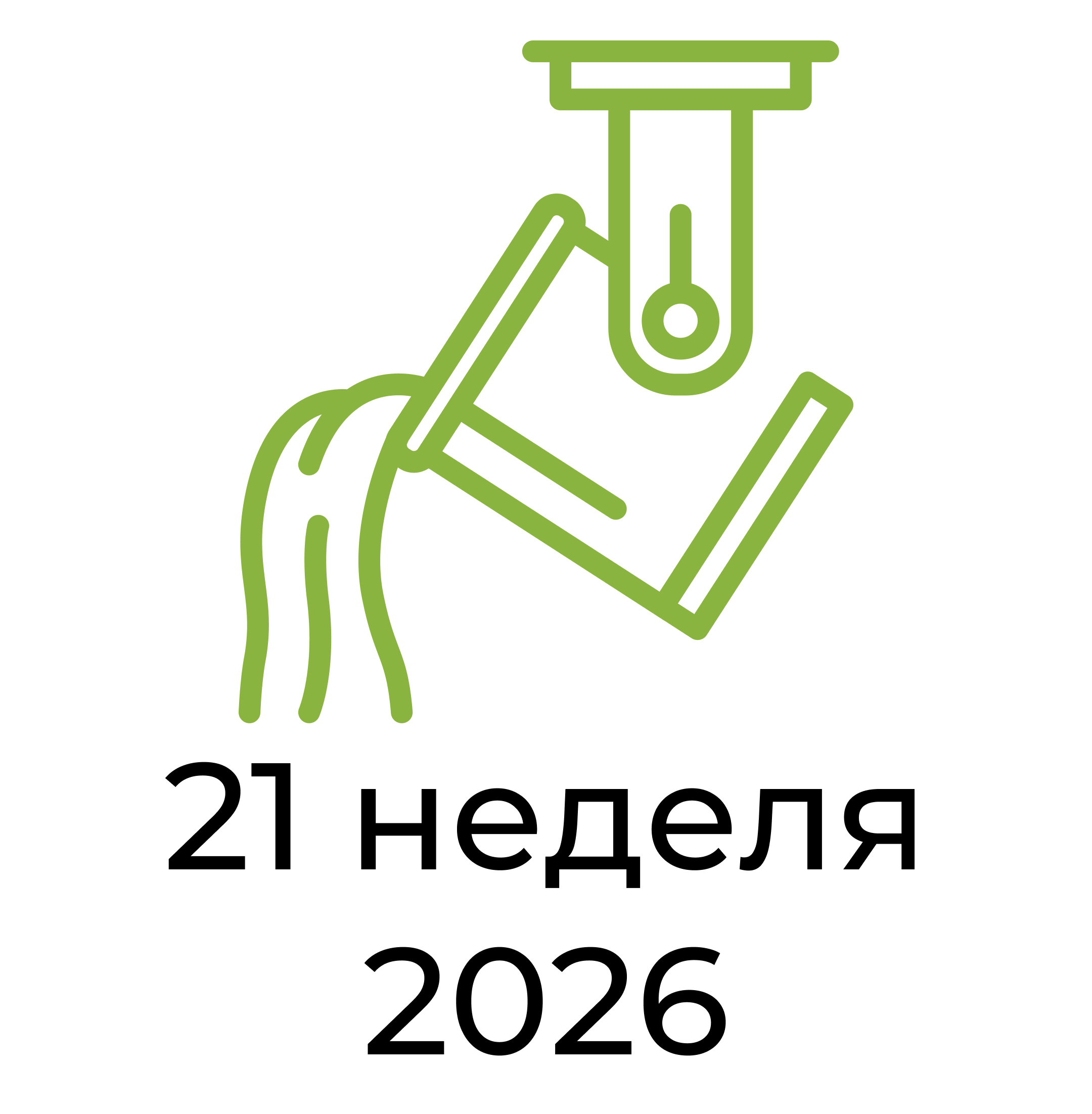 Отчёт за 21 неделю 2026 года