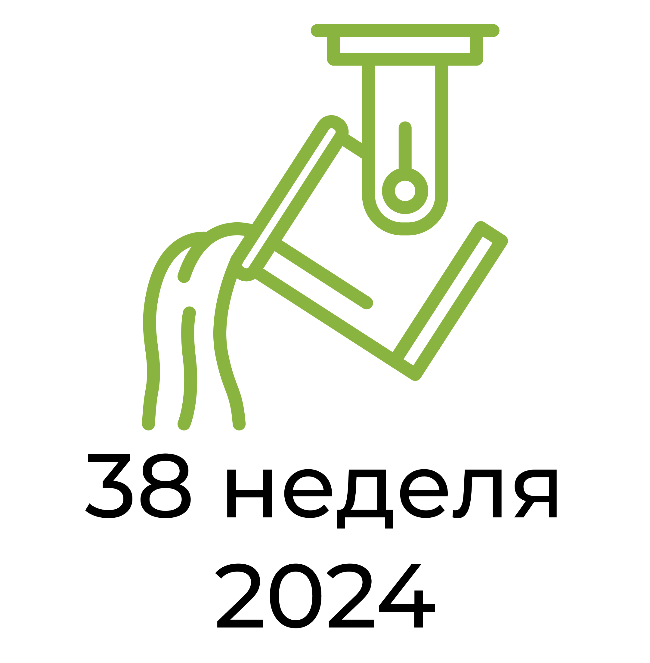 Отчёт за 38 неделю 2024 года