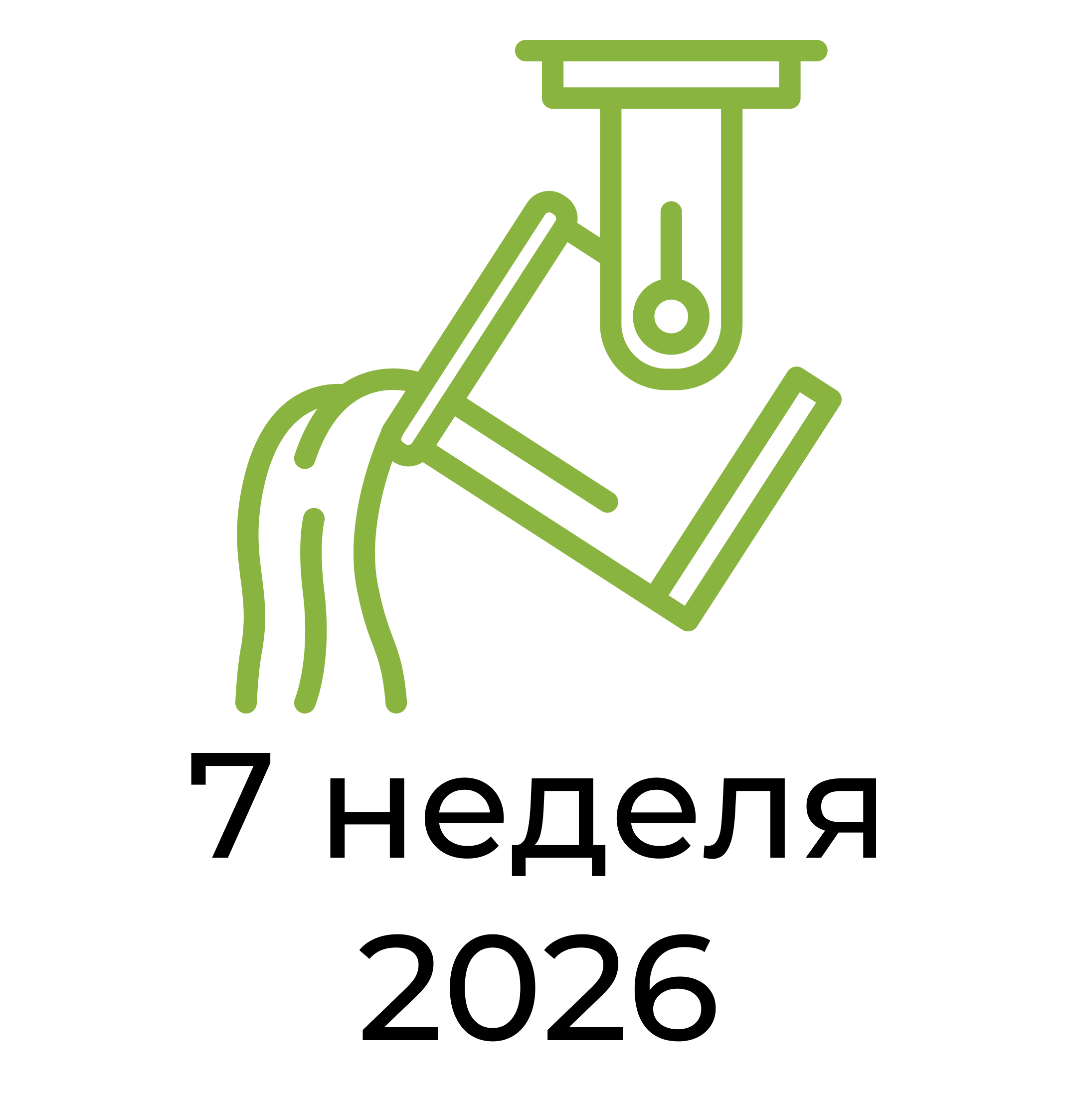Отчёт за 7 неделю 2026 года
