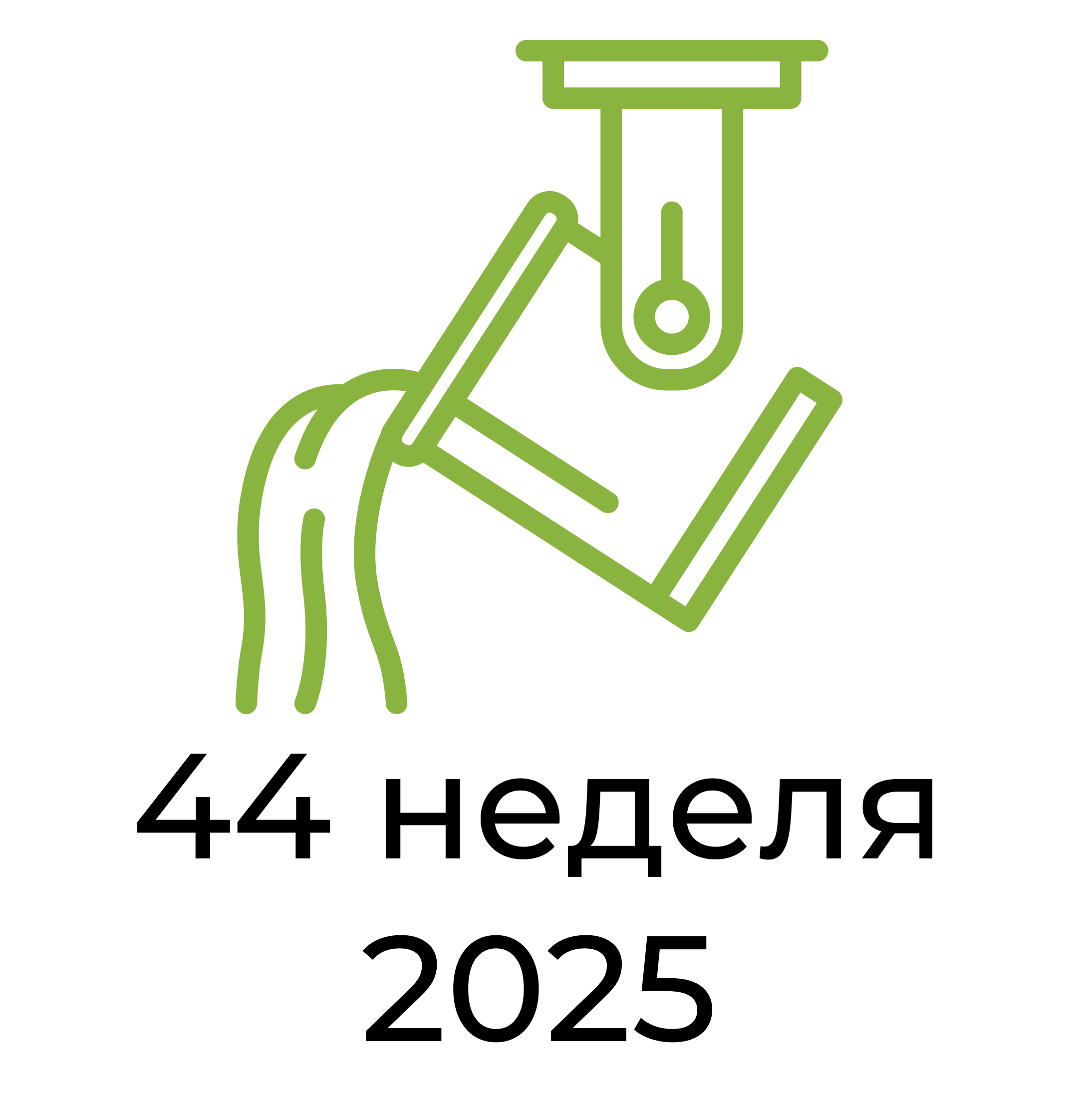 Отчёт за 44 неделю 2025 года