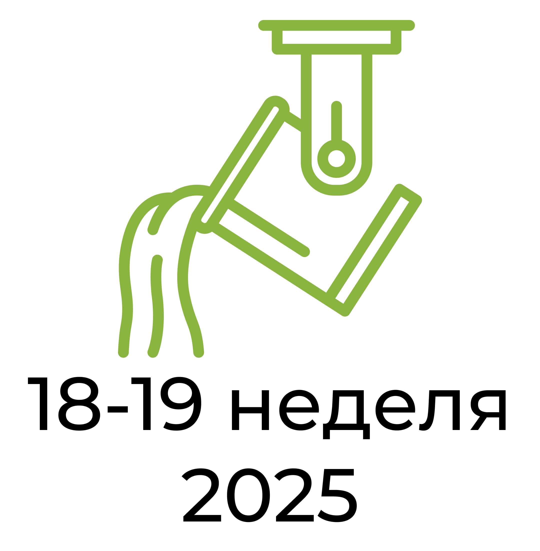 Отчёт за 18-19 неделю 2025 года