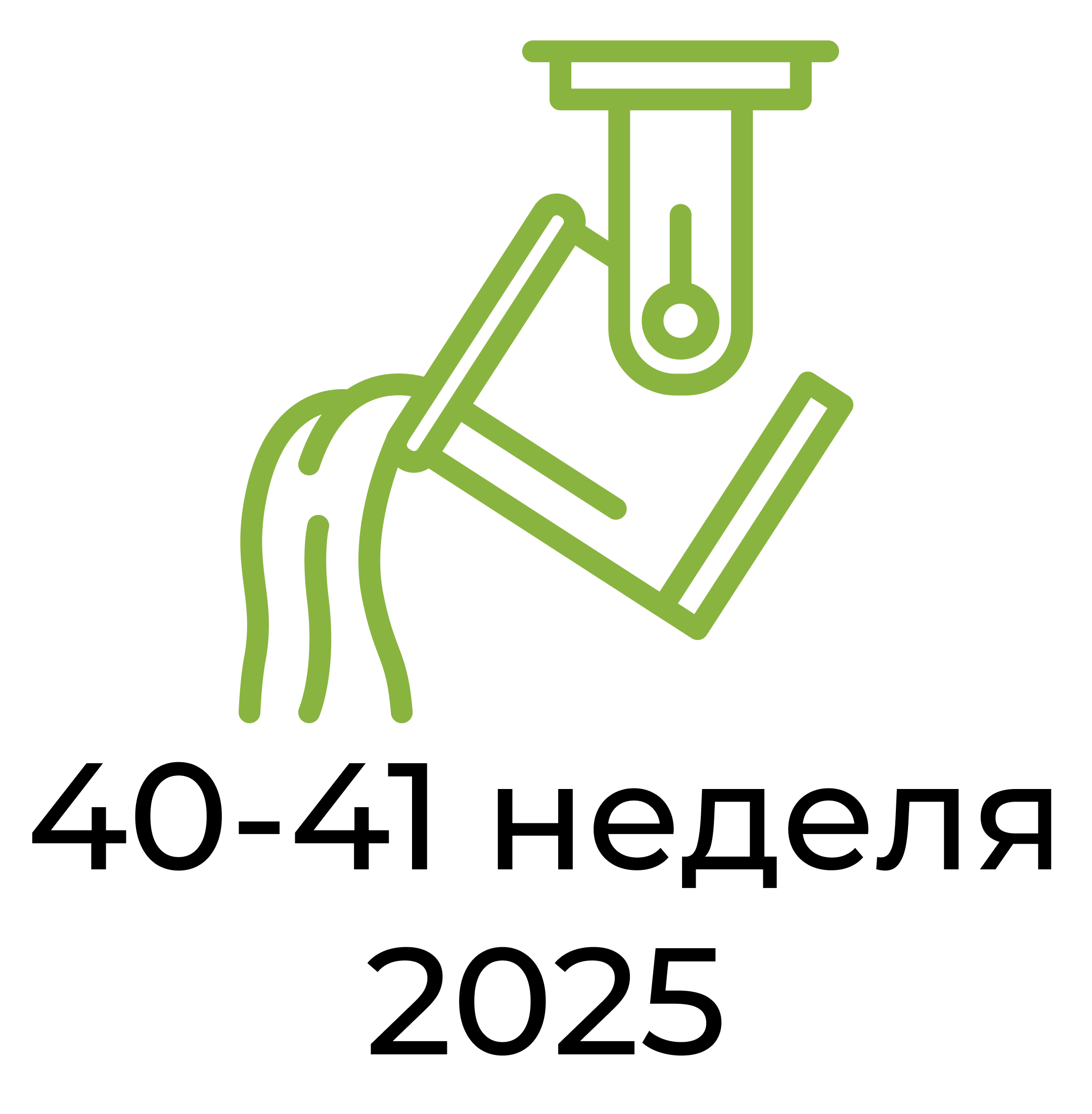 Отчёт за 40-41 неделю 2025 года
