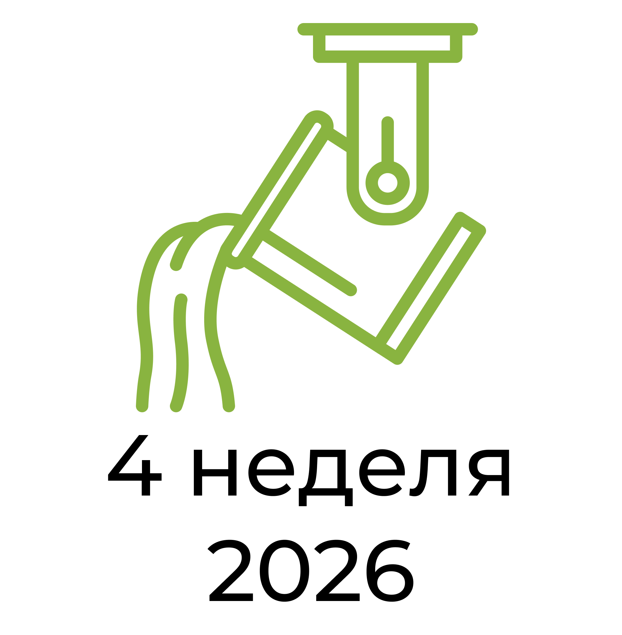 Отчёт за 4 неделю 2026 года